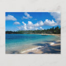 Recherche de samana cartes postales Palmier