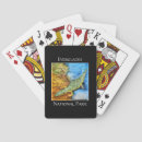 Recherche de crocodile jeux de cartes Faune