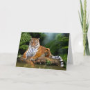 Recherche de yeux tigre cartes postales Jungle