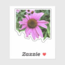 Recherche de jolie marguerite autocollants Floral