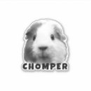 Recherche de grands chats autocollants Pour animaux