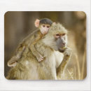 Recherche de babouin tapis souris Dehors