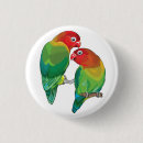 Recherche de deux oiseaux badges Animal