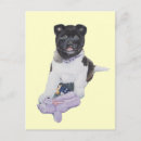 Recherche de akitas cartes postales Chiots