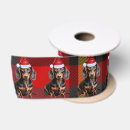 Recherche de chien teckel rubans Chiens