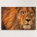 Recherche de lion puzzles Cool