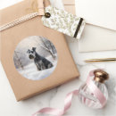 Recherche de miniature schnauzer autocollants Noël