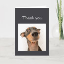 Recherche de génial vœux cartes Humour