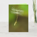Recherche de pissenlit anniversaire cartes Vert