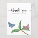 Recherche de papillon tropical vœux cartes Papillons