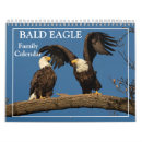 Recherche de aigle Nature