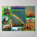 Recherche de cactus posters Désert