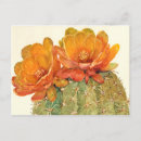 Recherche de de cactus cartes postales Feuillage