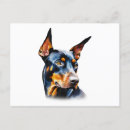 Recherche de pinscher dobermann cartes postales Canine