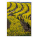 Recherche de ava cartes postales Vigne