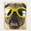 Recherche de vue bureau fournitures Lunettes de vue