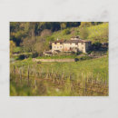 Recherche de chianti cartes postales Cave