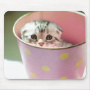 Recherche de consumerproduct tapis souris Image de couleur