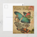 Recherche de bouquet cartes postales Papillon