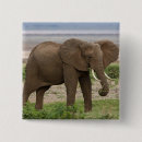 Recherche de éléphant africain badges Animal