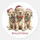 Recherche de chiot labrador autocollants Amoureux