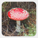 Recherche de sol autocollants Forêt