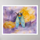 Recherche de cigale posters Insectes