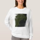 Recherche de topographie vêtements Photographie