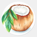 Recherche de noix de coco Feuille