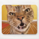 Recherche de chat humoristique tapis souris Humour