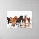 Recherche de caballus impressions sur toile Ferme