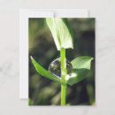 Recherche de méditation cartes postales Coloré