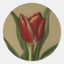 Recherche de tulipe rouge autocollants Toute personne