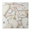 Recherche de coquille de mer carreaux Coquilles