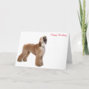 Recherche de afghan vœux cartes Animal