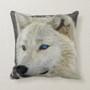 Recherche de loup arctique coussins De loup blanc