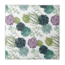 Recherche de motif plante carreaux Succulent