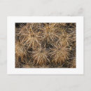 Recherche de meules cartes postales Parc