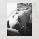 Recherche de monochrome cartes postales Animal
