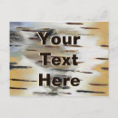 Recherche de bouleaux cartes postales Nature