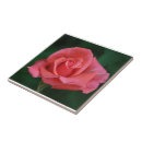 Recherche de macro rose carreaux Photographie