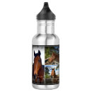 Recherche de cavalier de cheval photographie Chevaux