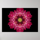 Recherche de mandala fleur posters Amour
