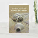 Recherche de tortue lente cartes postales Coquille