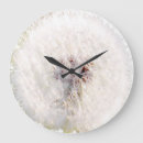 Recherche de pissenlits horloges Pour tous
