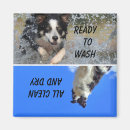 Recherche de statut magnets Lave vaisselle