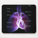 Recherche de organes internes tapis souris Humain