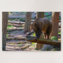 Recherche de grizzly bear puzzles Porter