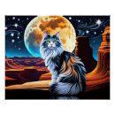 Recherche de calico cat posters Blanc