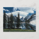 Recherche de arbre à feuillage persistant cartes postales Usa